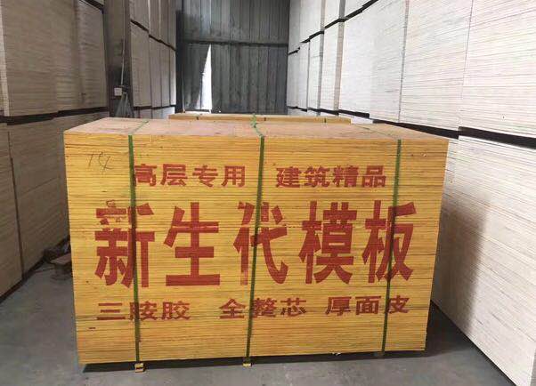 江苏建筑模板最新价格与沭阳县新生代木制品厂高清产品展示